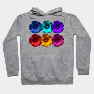 Warholianas 12 Hoodie